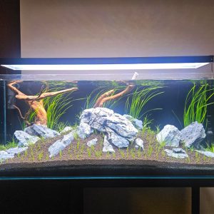 BTREE Aquarium LED Light NEW PREMIUM MODEL